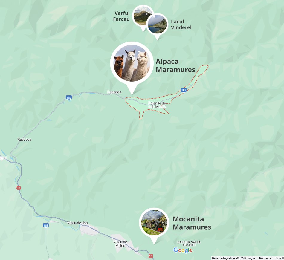 locatie alpaca maramures